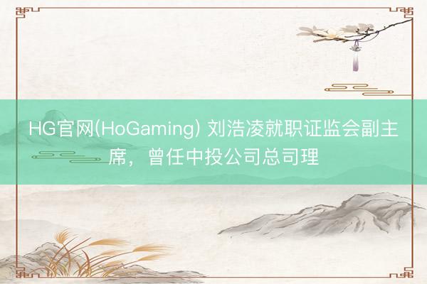 HG官网(HoGaming) 刘浩凌就职证监会副主席，曾任中投公司总司理