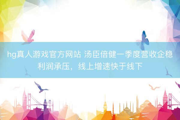 hg真人游戏官方网站 汤臣倍健一季度营收企稳利润承压，线上增速快于线下